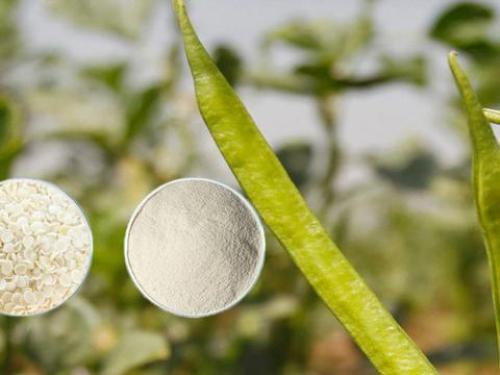 瓜尔胶，英文名为“guargum”，是从广泛种植于印巴次大陆的一种豆科植物——瓜尔豆中提取的一种高纯化天然多糖。